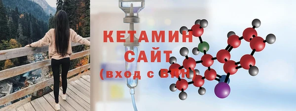 шишки Верея