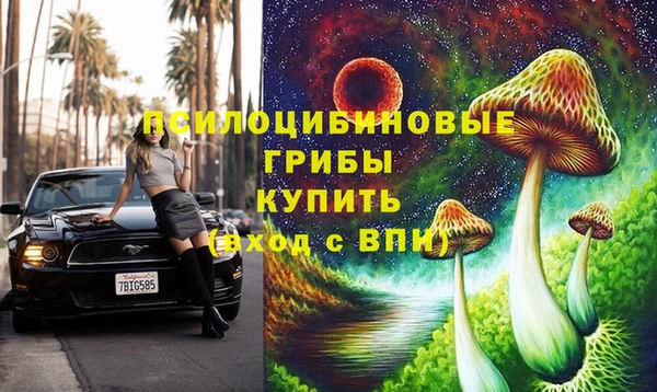 а пвп мука Надым