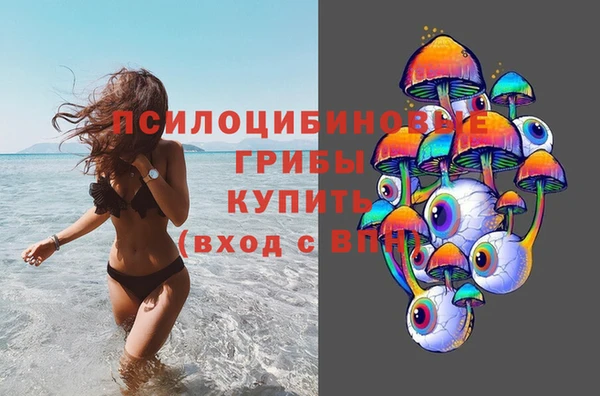 ECSTASY Навашино