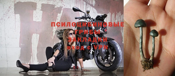 ECSTASY Навашино