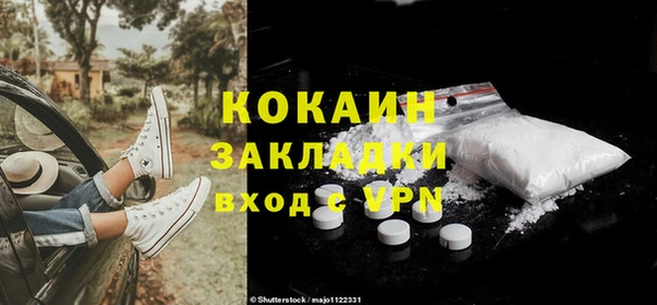 прущие грибы Михайловка