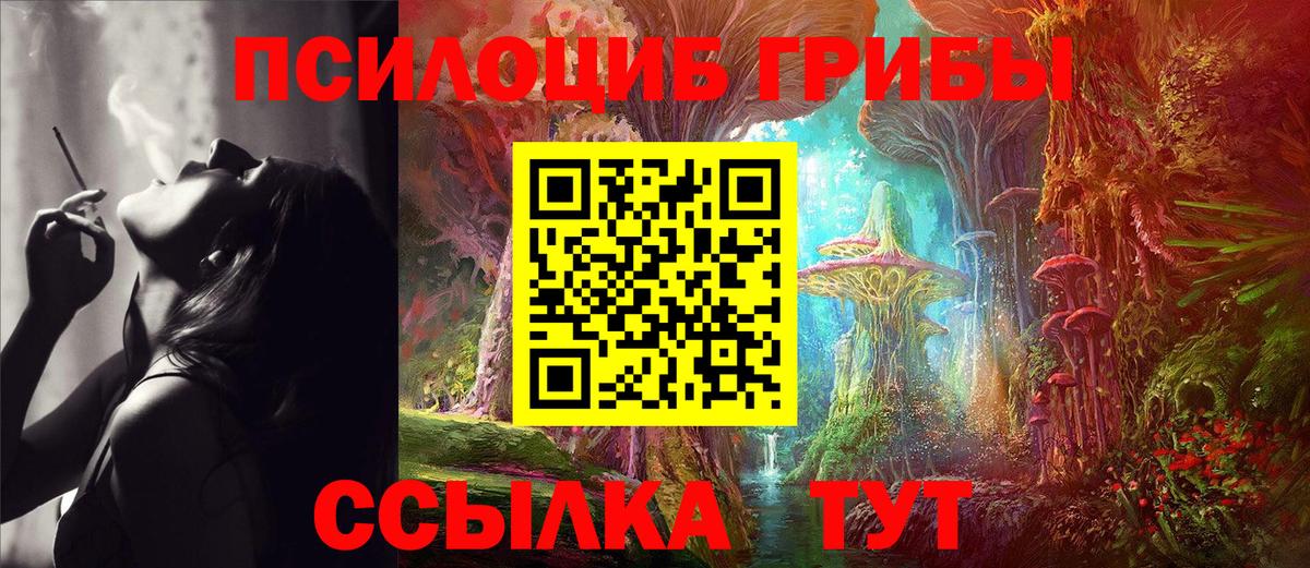 Можайск  купить наркоту  Галлюциногенные грибы MAGIC MUSHROOMS  Вход с VPN  Галлюциногенные грибы мицелий 