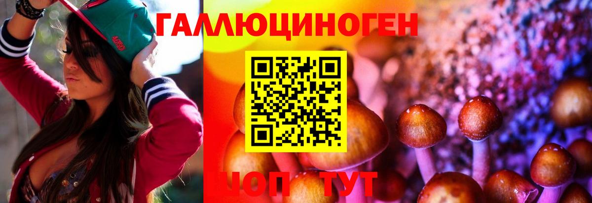 Галлюциногенные грибы MAGIC MUSHROOMS Можайск